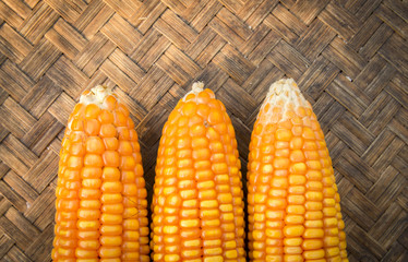 Fototapeta premium corn isolated on a brown background #4