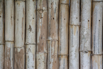 bamboo wall pattern background