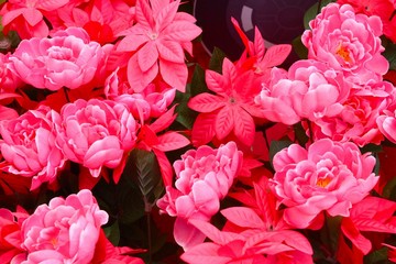 The pink flower background