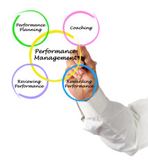 Diagram of Performance Management