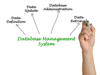 Obraz premium Diagram of Database Management System