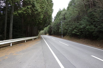 Mountain Short Straight