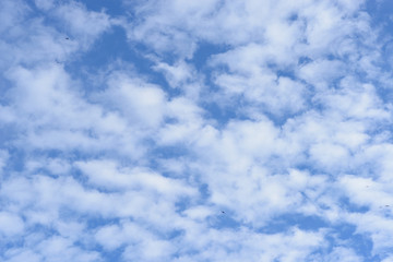 Blue sky with fluffy clouds 