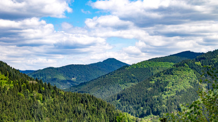 Fototapeta na wymiar Schöner Schwarzwald - Beautiful black forest