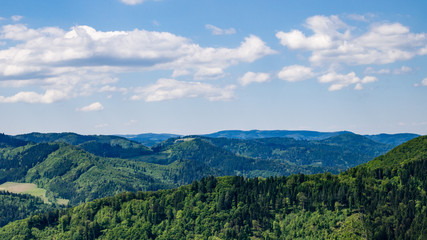 Fototapeta na wymiar Schwarzwald Panorama - Black Forest Panorama