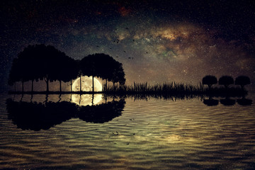 Trees arranged in a shape of a guitar on a starry sky background in a full moon night. Music island with a guitar reflection in water