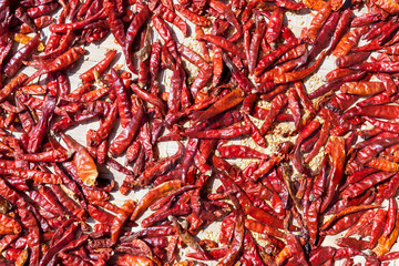 dried red chillies