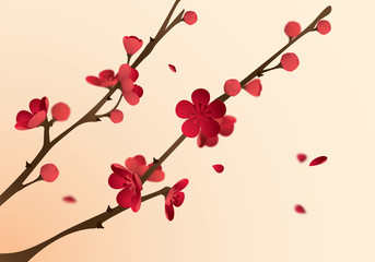 Plum blossom in spring