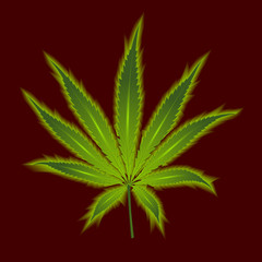 Cannabis leaf on a vinous background