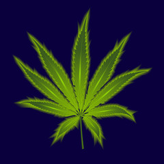 Cannabis leaf on a dark blue background