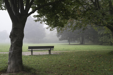 Park im Nebel in Herbst