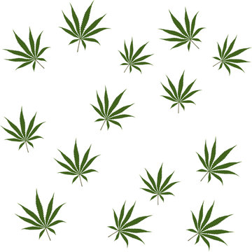 cannabis leaf - seamless pattern