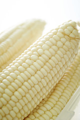 とうもろこし
