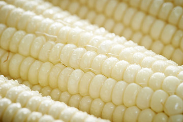 Corn