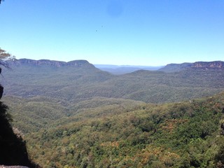 Fototapeta premium Forêt des Blue Mountains 