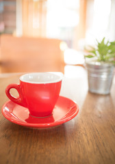 Red cup of coffee and green plant bucket on wooden table