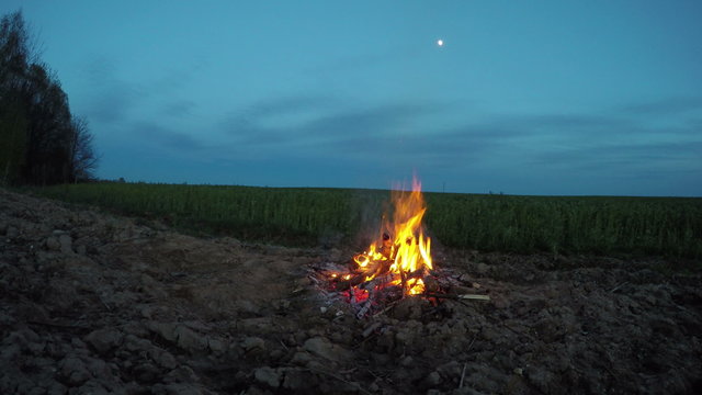 Bonfire burning outdoors by the forest and field in evening, 4K