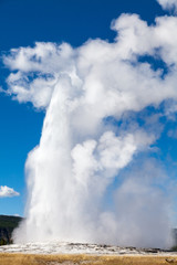 Old Faithful Geyser Yellowstone National Park