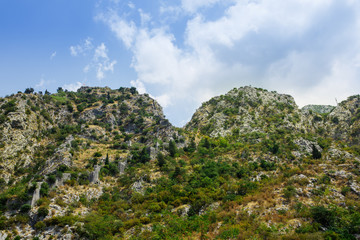Fototapeta na wymiar Mountain with forest in Montenegro