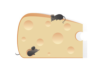 Piece of cheese and mice