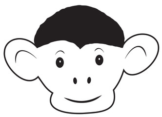 The head of the monkey