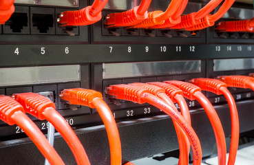 Close up of red network cables connected to switch