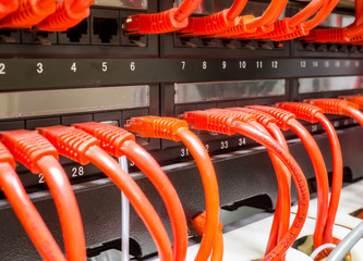 Close up of red network cables connected to switch