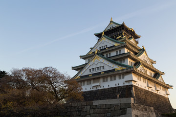 Japanese castle in Osaka