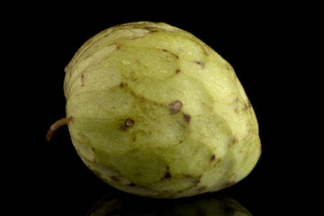 Fresh Custard Apple