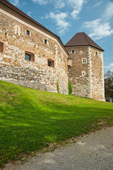 Fototapeta na wymiar Castle of Ljubljana
