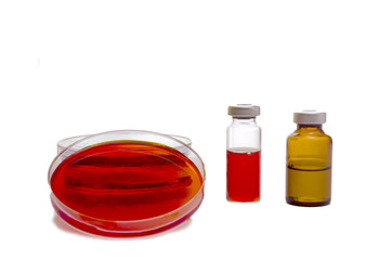 Microbiology Petri Dish with Bacteria and Growth