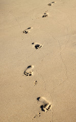 footprints in the sand
