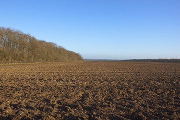 winter woodlands  with chalky plow soil