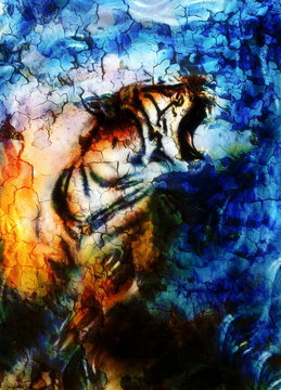 gentle portrait tiger. computer collage. Color Abstract background. Animal concept.