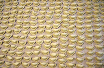 Polish dumplings on a canvas background.