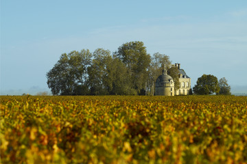 Chateau Latour, Pauillac, Bordeaux