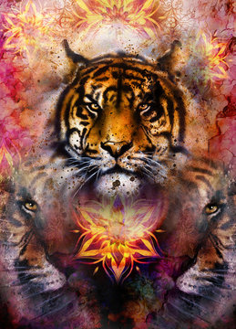 gentle portrait tiger on ornamental background. computer collage. Color Abstract background, old paper structure. Animal concept.