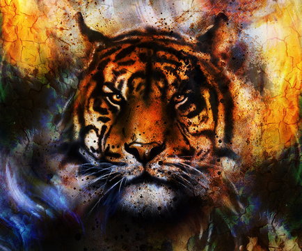 portrait Tiger face, profile portrait, on colorful abstract  background. Abstract color collage with spots.