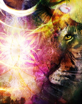 portrait tiger and ornamental light mandal. computer collage. Color Abstract background. Animal concept.