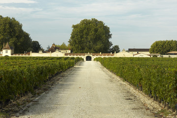 Bordeaux Château Rauzan Segla