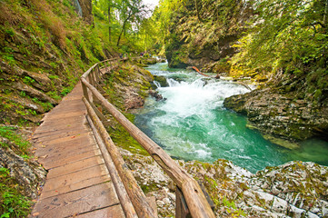 Vintgar gorge and wooden path,Bled,Slovenia