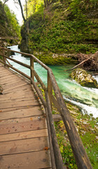 Fototapeta premium Vintgar gorge and wooden path,Bled,Slovenia