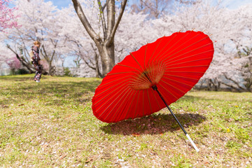 桜と和傘と着物の女性