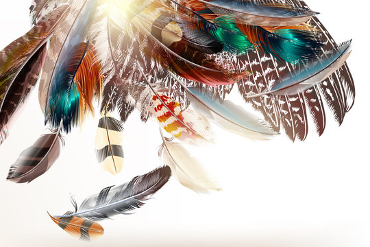 Art background with feathers symbol of colorful world