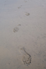 Single track of human footprints in wet sand