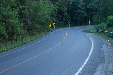 The road in the forest