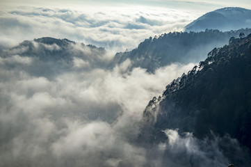 Clouds around trees