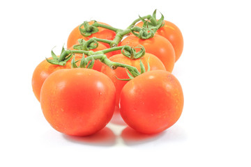 Bright Orange Red Tomato
