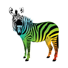 Fototapeta na wymiar Zebra.Vector illustration.