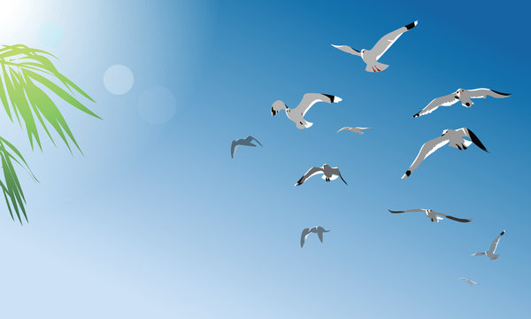 Seagull.Vector illustration.